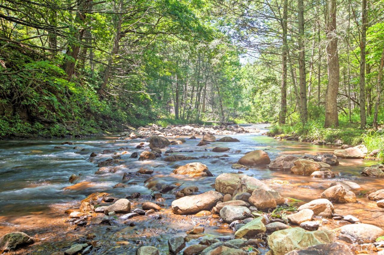 Clearwater Cabin On 10 Acres With Trout Stream! Monterey 외부 사진
